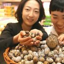 이주호농장 이미지