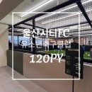 디자인파파.울산유소년축구클럽(울산시티fc유소년축구클럽)