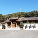 지유명차광주점 이미지