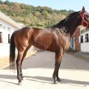 부마목장 이미지