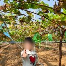 홍주농장 이미지