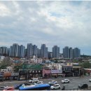 롯데마트 부평점 앞(마장로296) 네이버블로그