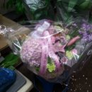 대양상회 이미지