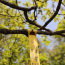 정선군 도사곡샘터 이미지