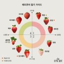 따봉PC | 네이버가 PC 로그인 알람을 자꾸 안 보내줘서 폰으로 끄적이는 일기