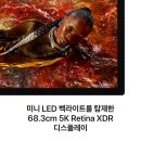 애플스튜디오 | 애플 스튜디오 디스플레이 XDR 사용 후기!