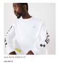 라코스테동탄