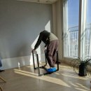 신우인테리어 | 파주 신우 포장이사·보관이사 후기｜인테리어 공사 때문에 진행한 기록