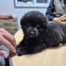 위더스메디칼 이미지