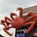 서울.회.대게