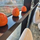 카페태그25 이미지