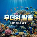 티움 카페&갤러리 | 대전 엑스포 아쿠아리움 여름방학 이색 실내 체험 명소 추천