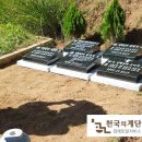 천국의계단상조