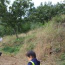 새솔농장 이미지