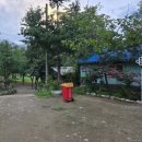 자두야놀자 | 속초중앙시장 먹거리/주차, 공수전계곡_아이와 갈만한 강원도 계곡/요금/샤워/깊이, 놀자대게/메뉴/맛후기