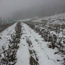 산수화농장 이미지