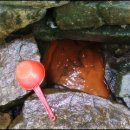 천연약수터 이미지