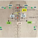 감기혈자리(풍문,폐유,고황,신주)와 오십견(견비통) 티침붙이기 이미지