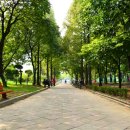 신트리공원 배드민턴장 이미지