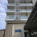 (주)하나팜 | 세부 솔레아 팜 막탄 리조트 위치 조식 객실 수영장 가족여행 후기