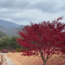 아쿠아휘트니스 클럽 이미지