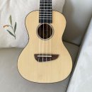 초등 우쿨렐레 이미지