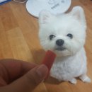 구름이네 까까 이미지