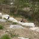 남강해장국 | 주말일상ㅣ야식으로 고추바사삭, 아침산책, 우연히마주친 동물들, 간장게장, 찐빵, 선지해장국포장