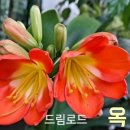 구복바다횟집 이미지