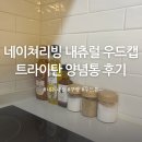 네이쳐우드 | 네이쳐리빙 우드캡 트라이탄 양념통 내돈내산 후기