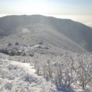 새해 첫 산행....강원도 태백시 태백산 (1월 21일 목요일) 이미지