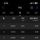 파틀렉 이미지