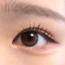 오렌즈부산대점 | [다비치] 라이트 문링 브라운 자연스러운 하이라이트렌즈 내돈내산 솔직후기