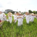 용전2로 이미지