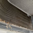 오송이화약국 이미지