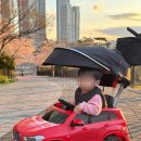 충청B/R어린이집 | 파파야나인 8세대 BMW 푸쉬카 '크롬토이' 에서 리퍼제품 할인받아 구매한 후기