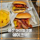 용산-421 | 용산 아이파크몰 쉐이크쉑 쉑쉑 버거 추천 스모크 쉑 버거 후기