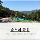 그늘막97 | [거제 아이랑 가볼 만한 곳] 숲소리 공원 모노레일부터 도토리 놀이터ㅣ근처 아이와 점심까지 코스 총정리