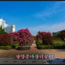 중마장미공원의 오늘 풍경(2019.5.16)-장미공원의 장미가 여러분을 초대합니다. 이미지