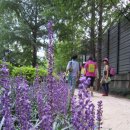 제464회 주말걷기(17/2/26/일)"반포천변길-서초동 길마중길" 안내 이미지