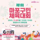 마포