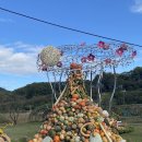 [대전시] ‘ 오색빛 호박축제 ’대청호 가을을 물들인다 이미지