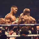 꼬인 인생을 푸는 뇌과학자의 접근- 장동선 뇌과학자 | 체감하는 부하가 점점 심해진다;; 피로누적🥱