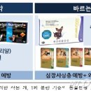 메리알동물병원 이미지