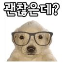 솔다방 네이버블로그