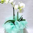 위드농장 이미지