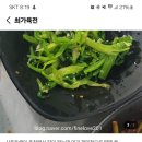 최가육전
