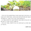 문석주 시집 / 그때 그 시절을 아시나요 이미지