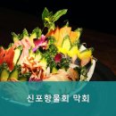 신포항막회물회 네이버블로그