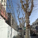 보광동주민센터 화장실 | [서울 용산구] 재개발로 사라질 한남동과 보광동 (2) - 골목길 돌아보기